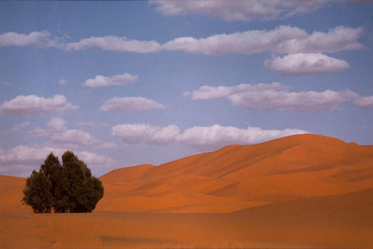 FRANCO FONTANA - Paesaggio (1994)