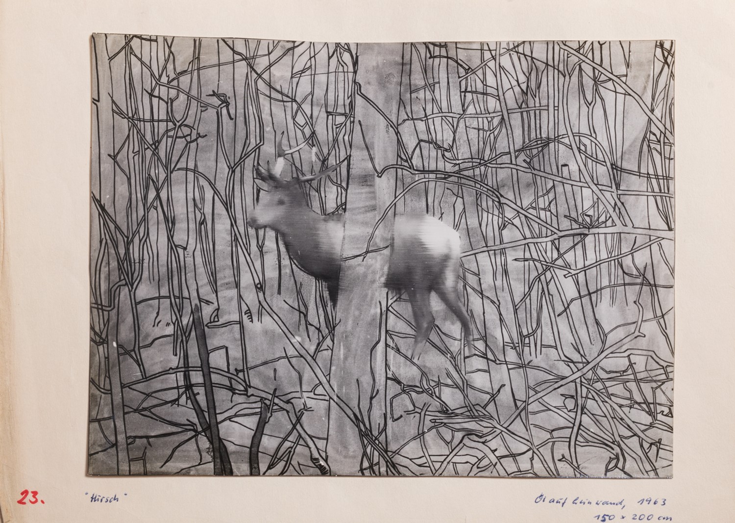 Una delle fotografie di Gerhard Richter del progetto per la mostra alla galleria La Tartaruga, 1966 | Venduto € 61.250,00