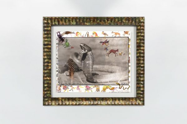 PETER BEARD, Spitting Cobra, Tsavo, 1960 - Venduto € 21.300